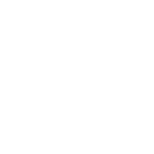 ibsa-logo-